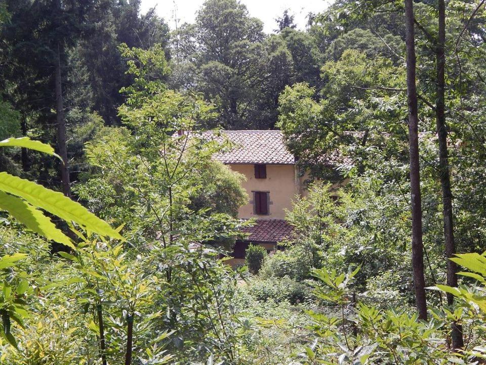 Agriturismo Fonte Magria Abbadia San Salvator Exterior foto